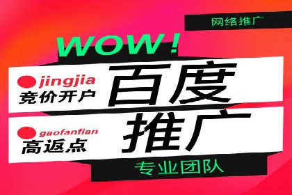 行业领先企业的SEM推广策略揭秘